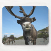 Dieren Mousepad 63 Muismat (Voorkant)