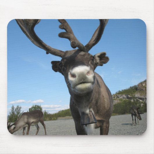 Dieren Mousepad 63 Muismat (Voorkant)