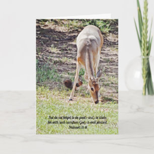 Dieren Natuur Delen Geloven Dankkaart Kaart