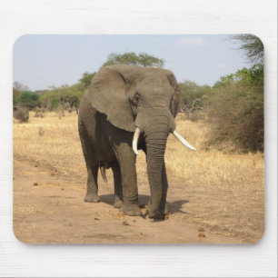 Dieren, olifanten, natuur muismat