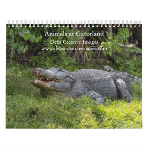Dieren op Gatorland 2025 Kalender