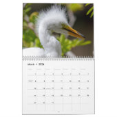 Dieren op Gatorland 2026 Kalender (Mar 2026)