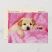 Dieren, Puppies Briefkaart (Voorkant / Achterkant)