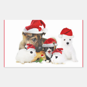 Dieren Rechthoekige Sticker