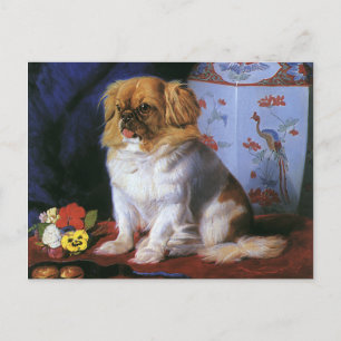 dieren, Speelgoed Pekingese Puppy Dog Briefkaart