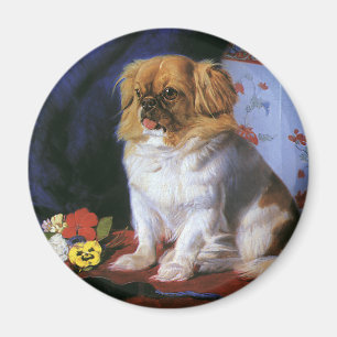  dieren, Speelgoed Pekingese Puppy Dog Magneet
