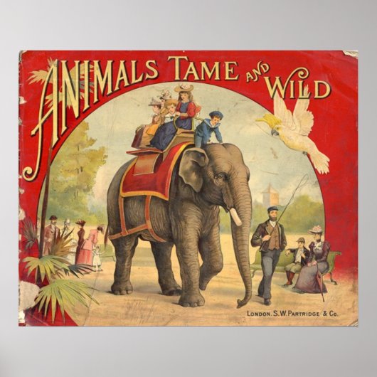 Dieren Tame & Wilde  Circus Poster (Voorkant)