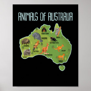 Dieren uit Australië - Diereneducatie Poster