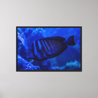 Dieren uit dierentuin en boerderij op canvasprint canvas afdruk