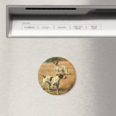 Dieren uit het verleden, Engelse Pointer-jachthond Magneet (Insitu (Vaatwasser))