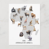 Dieren van Afrika Safari Wildlife Briefkaart (Voorkant)
