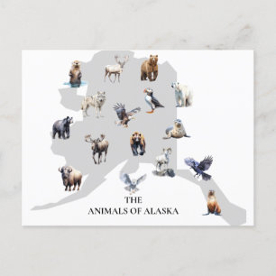 Dieren van Alaska Noord-Amerika Briefkaart