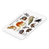 Dieren van Australia Magnet Magneet (Linkerzijde)