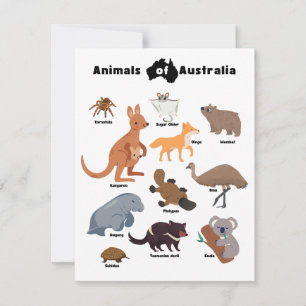 Dieren van Australië Aussie Wildlife