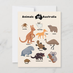 Dieren van Australië Aussie Wildlife
