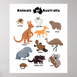 Dieren van Australië Aussie Wildlife Poster