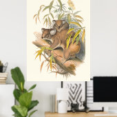 Dieren van Australië De Koala Poster (Thuiskantoor)