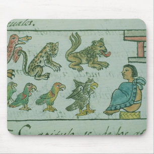 Dieren van de Aztec Emperor Muismat