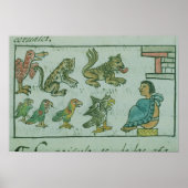 Dieren van de Aztec Emperor Poster (Voorkant)