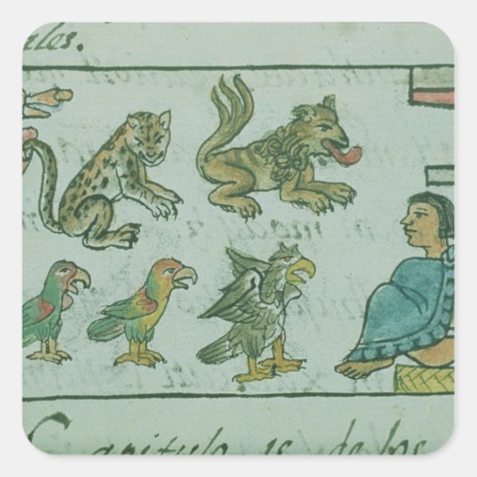 Dieren van de Aztec Emperor Vierkante Sticker (Voorkant)