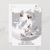 Dieren van de Noordpool Briefkaart (Voorkant / Achterkant)