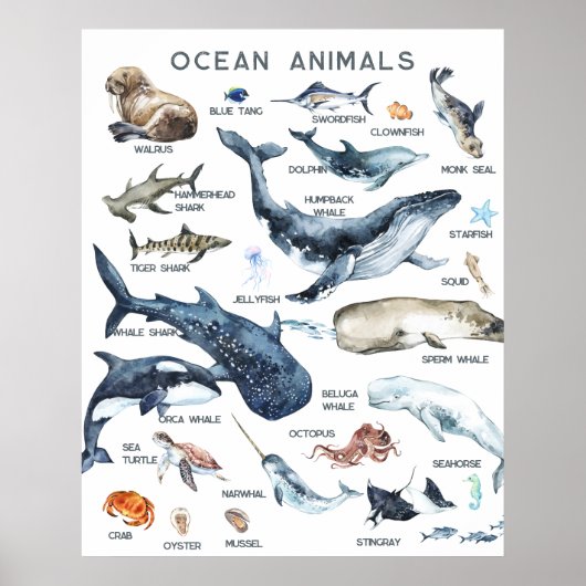Dieren van de Oceaan | Onderwijs Leren Klaslokaal Poster (Voorkant)
