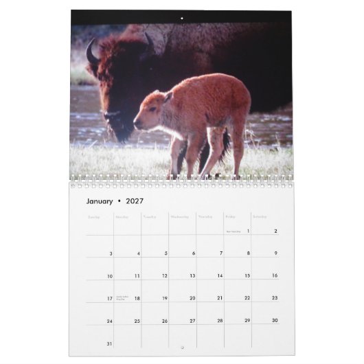 Dieren van geelsteen, op maat gedrukt kalender (Jan 2027)