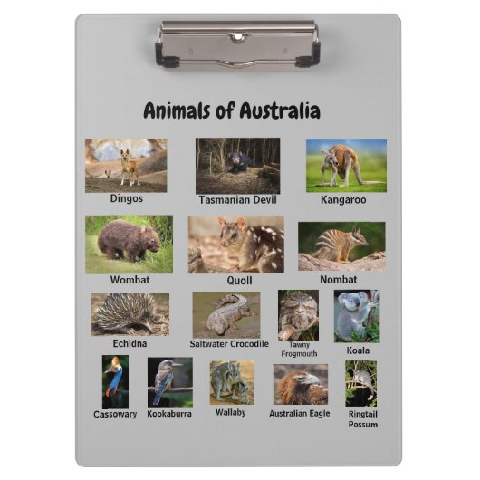 Dieren van het Australische klembord (Voorkant)