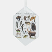 "Dieren van het Canadese Schild." Glas Ornament (Voorkant links)