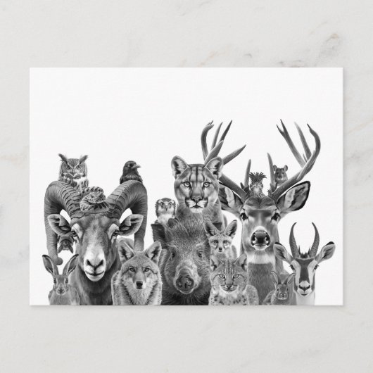 Dieren van het zuidwesten van de Sonoran-woestijn Briefkaart (Voorkant)