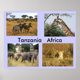 Dieren van Tanzania Africa Poster