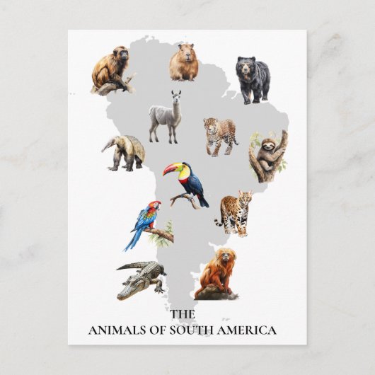Dieren van Zuid-Amerika Wildlife Briefkaart (Voorkant)
