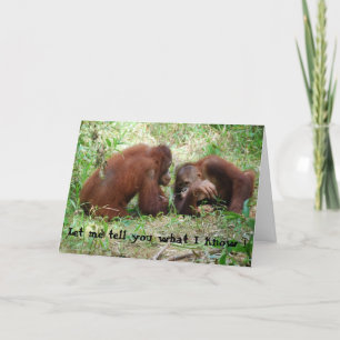 Dieren vertellen geheimen verjaardag #2 kaart