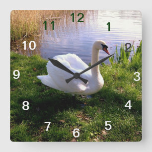 Dieren Vierkante Klok