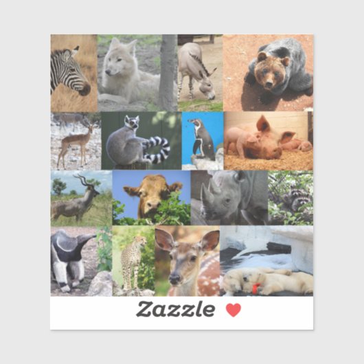 Dieren Vinyl Sticker (Vel)