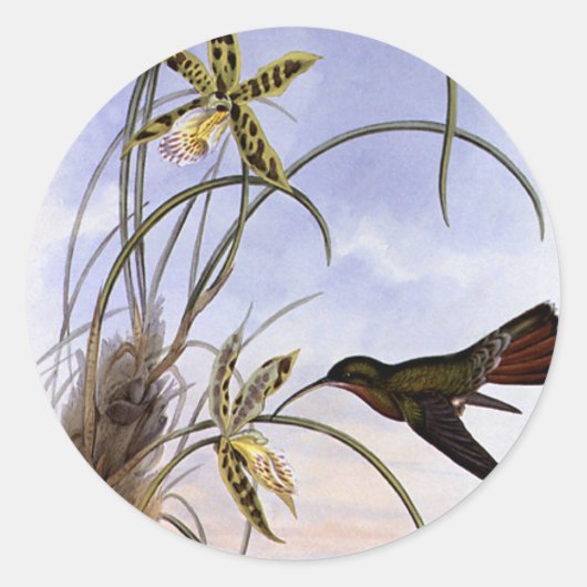  dieren, vogelbeestjes met orchidee ronde sticker (Voorkant)
