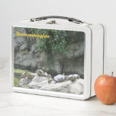 dieren, water, schildpadden, stenen, bloemen, natu (In situ)