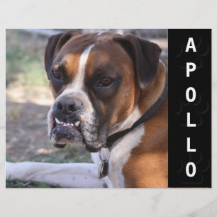 Dierenactoren Comp Kaart