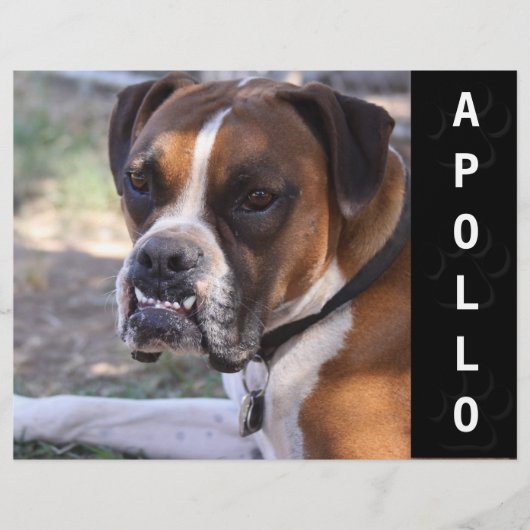 Dierenactoren Comp Kaart (Voorkant)