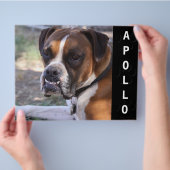 Dierenactoren Comp Kaart (Hand)