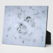 Dierenafdrukken in de sneeuw fotoplaat (Zijkant)