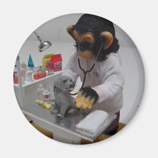 dierenarts magneet (Voorkant)