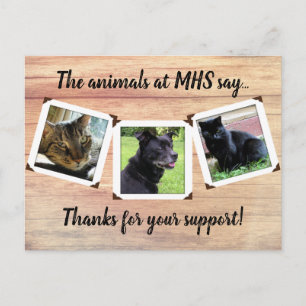 Dierenasiel Drie Foto Sjabloon Bedankt Briefkaart