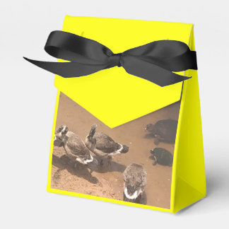 Dierenasiel Liefde Bedankdoosjes
