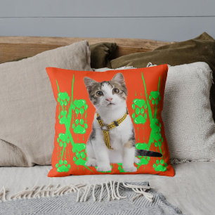 Dierendhuisdier Kat Foto Limoen Patroon Oranje Op  Kussen