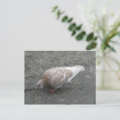 Dierenduiven Briefkaart (Staand voorkant)