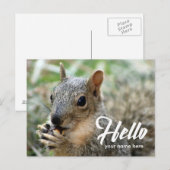 Diereneekhoorn grappig hallo briefkaart (Voorkant / Achterkant)