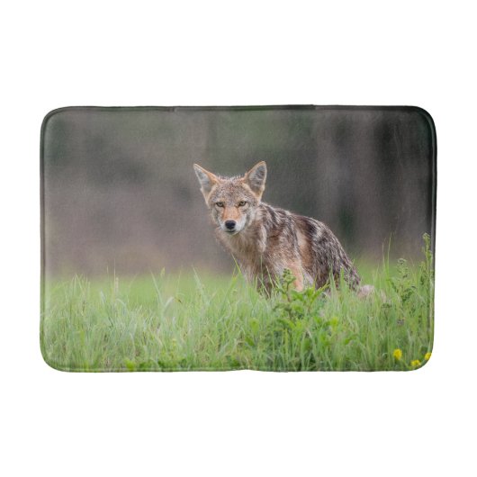 Dierenfotografie, bruine coyote badmat (Voorkant)