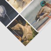 Dierenfoto's Flamingo Gorilla Papegaaien Koala Een Tissuepapier (Detail)