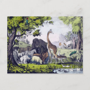 Dierengroep Briefkaart